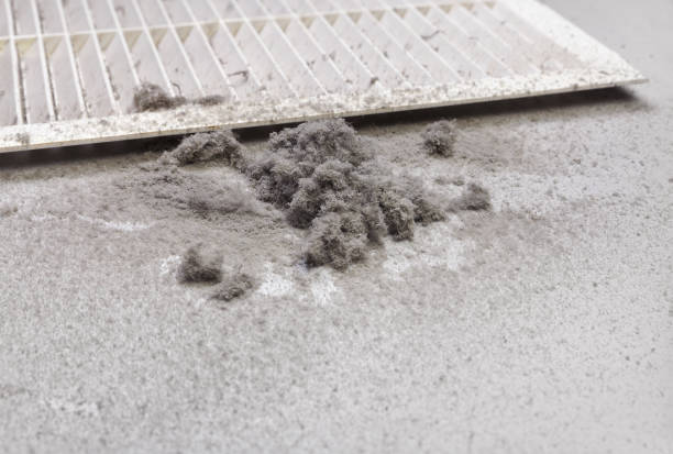 Best Local Air Duct Cleaning Services  in San Marcos, TX